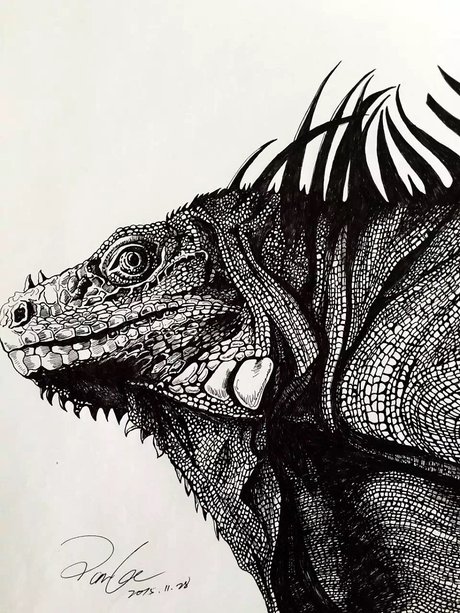我的黑白画|绘画习作|插画|lezi_1314   原创设计作品   站酷 (zcool)