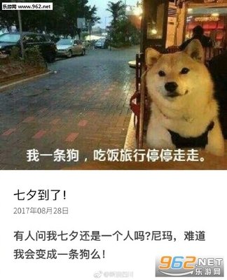 七夕情人节虐狗系列表情包|你看有只单身狗虐狗表情包下载无水印-乐游