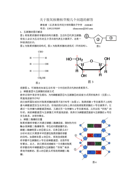 的结构 核糖核酸, 核苷酸,核酸,氢