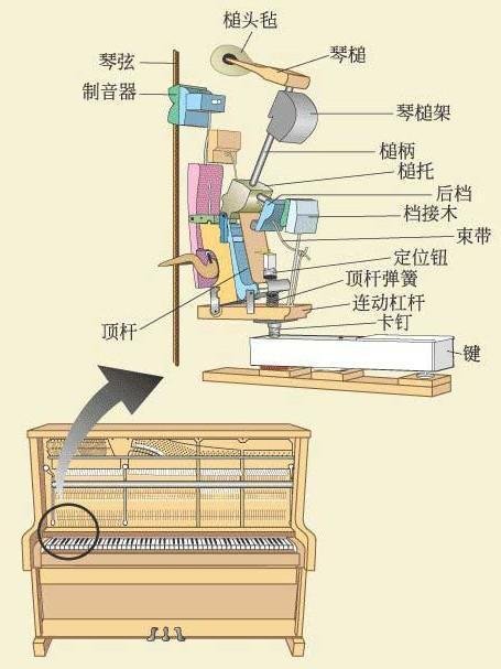 相关搜索 钢琴内部结构解析图 三角钢琴内部结构 立式钢琴结构图