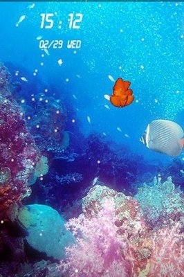 相关搜索 电脑动态屏保海底世界 3d海底世界动态壁纸电脑养鱼屏保下载