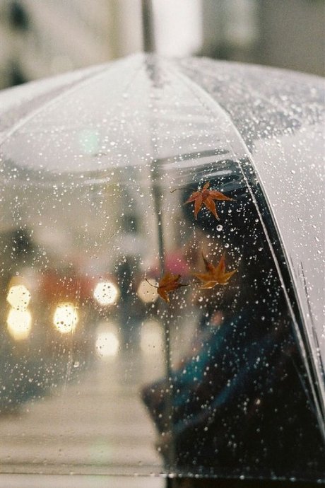 关于伞的图片很唯美  别在下雨天偷偷的哭泣