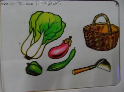 蔬菜大全图片儿童画_360图片