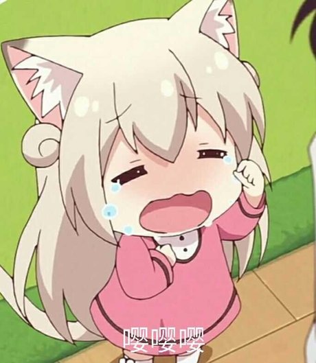 最近很火的猫耳朵 萌妹子 表情是什么 动漫