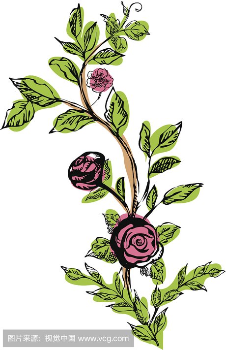素描画玫瑰花_360图片