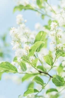 保护视力的绿色护眼 桌面壁纸_绿色图片护眼养