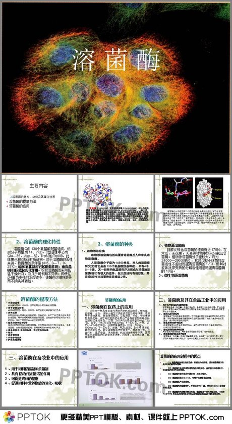 溶菌酶是一种广泛分布的蛋白在人类体液包括眼泪和口水.