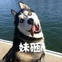 哈士奇搞笑表情包带字图片_微信头像图片大全