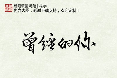 曾经的你纪念册书法字psd素材下载_书法字体设计图片