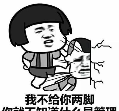 斗图群聊表情包丨群主和管理的忠告