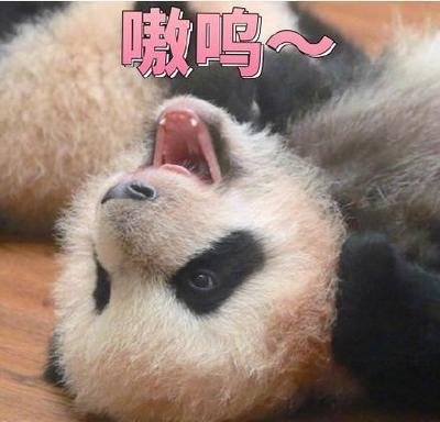 撒娇打滚qq表情_360图片