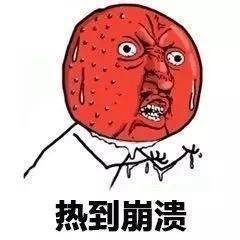 形容天气热的 表情包|热到融化