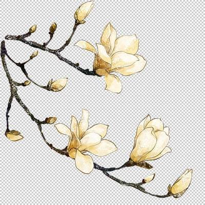 唯美水彩手绘古风花卉插画 (86)