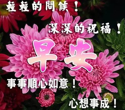 gif 早上好动态 图片 早上好祝福送给你 - 今日头条