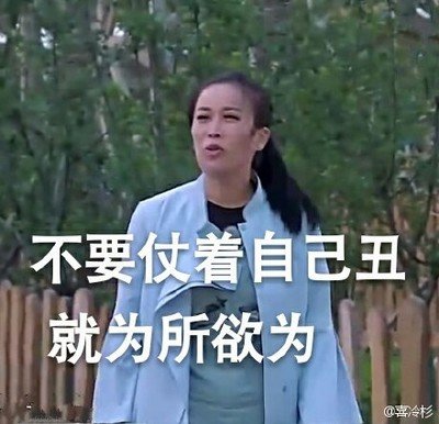 那英表情
