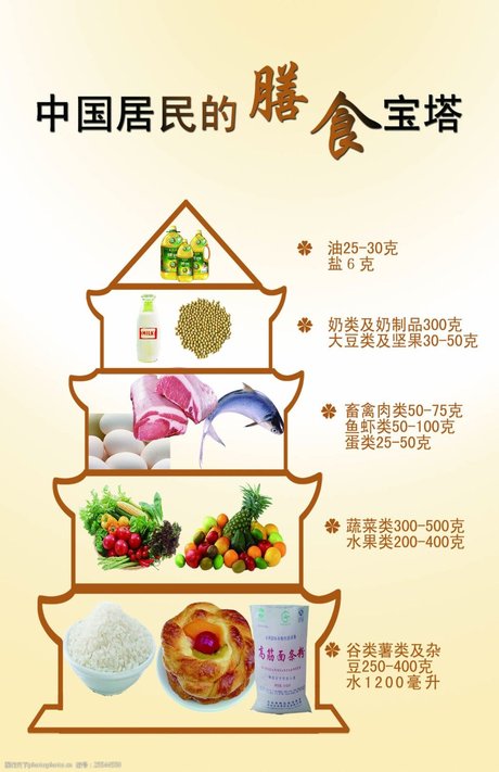 膳食宝塔