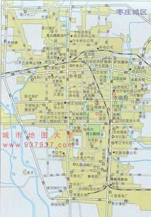 山东省枣庄市