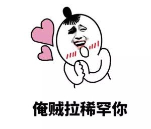 gif 我爱你老婆表情 斗图表情包大全 - 与 我爱你老婆表情 相关的