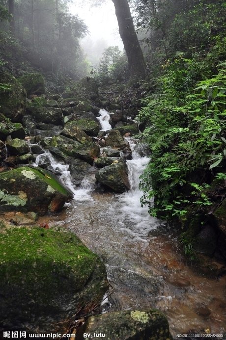 山林小溪流摄影图__自然风景