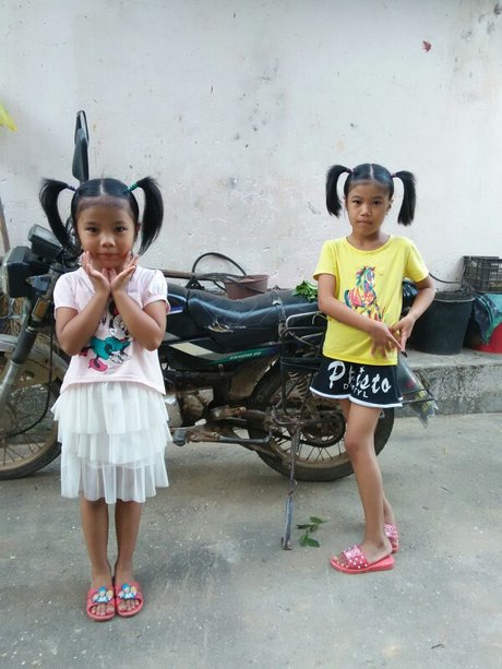 梅花三姐妹长大照片_360图片