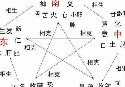 可字属于五行属什么