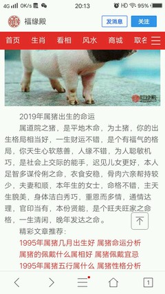 猪年是什么命