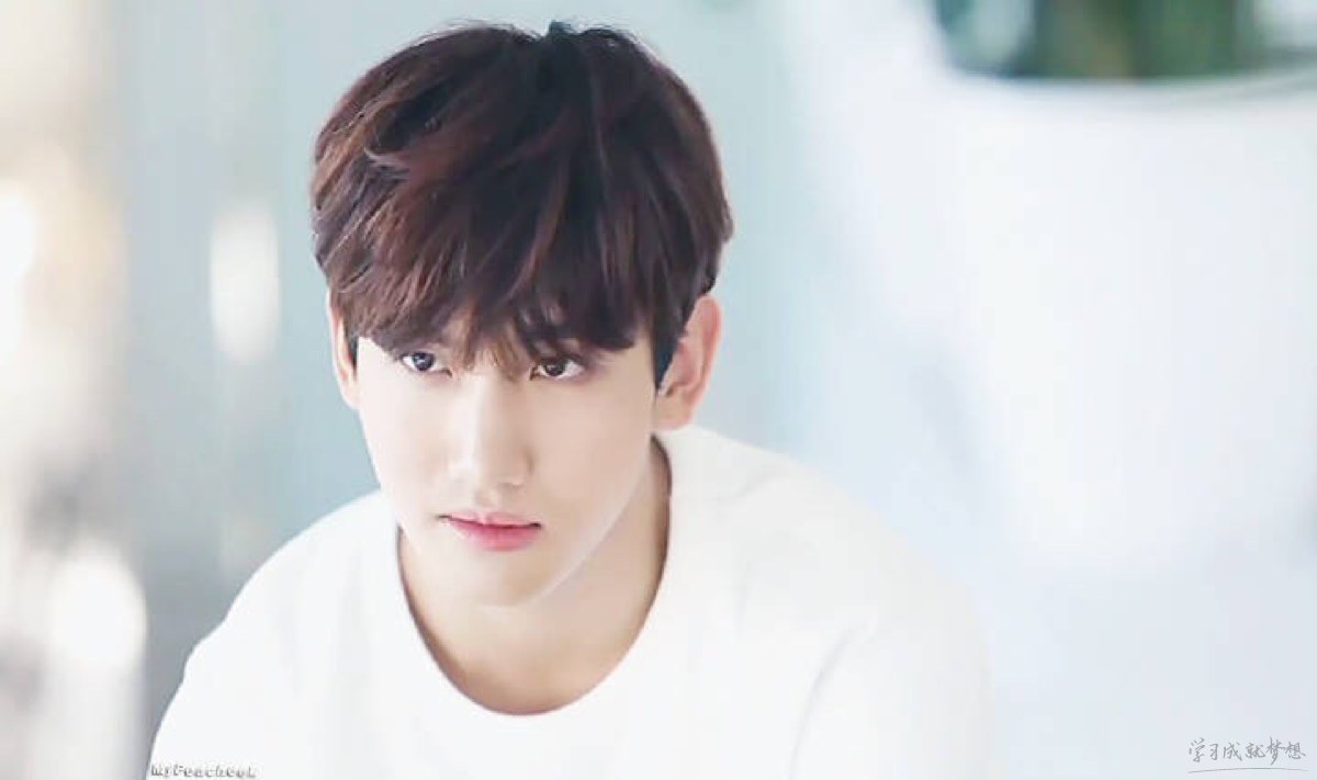 max东方神起成员沈昌珉