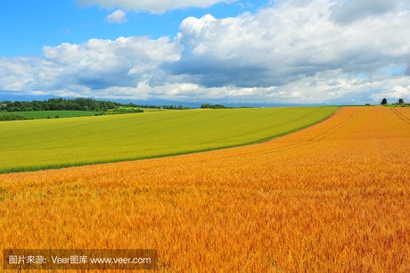 北海道风景图 360图片