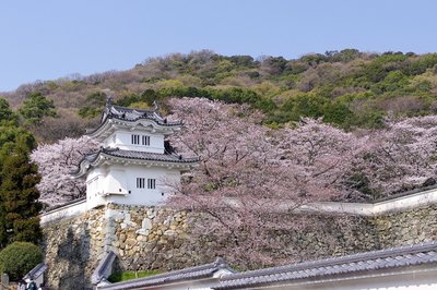 孙郭胡城址 360图片