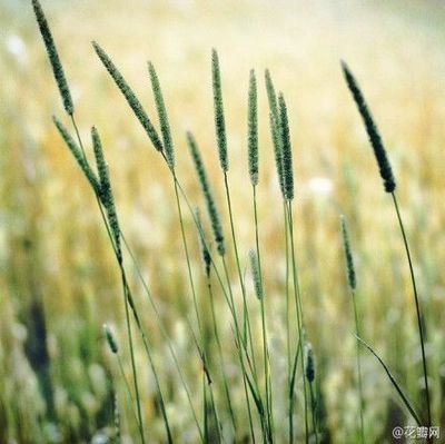 基督教生日祝福图片 360图片