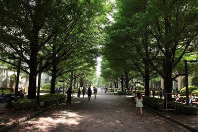 青山学院大学 360图片