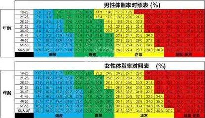 体脂率 360图片