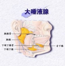 唾液腺炎 360图片