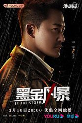 黑金风暴(粤语版)