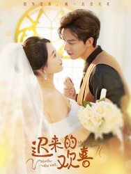 迟来的欢喜(短剧版)