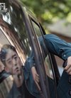 郑恺张国立林峯主演《也平凡》