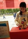 经政法大学统计学院开展