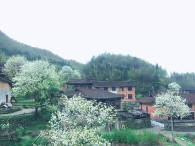 三月，春光无限