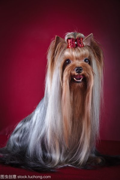 图片[2]-热点讨论“兴动游戏有挂吗怎么开挂”（真的有挂）-首码网-网上创业赚钱首码项目发布推广平台