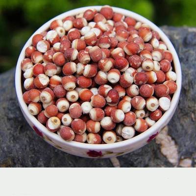 茨实中药功效与作用 茨实的药用价值