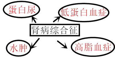 肾病综合征
