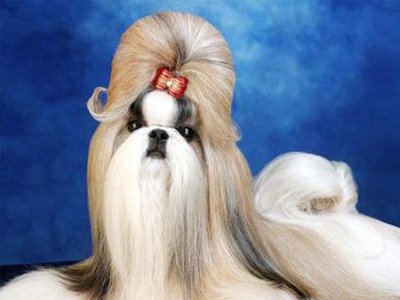 图片[2]-百科大全“大金牙麻将有挂吗怎么开挂”（详细分享开挂步骤）-首码网-网上创业赚钱首码项目发布推广平台