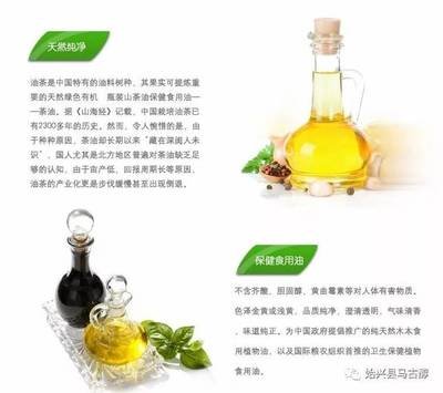 茶油的作用与功效 茶油的禁忌