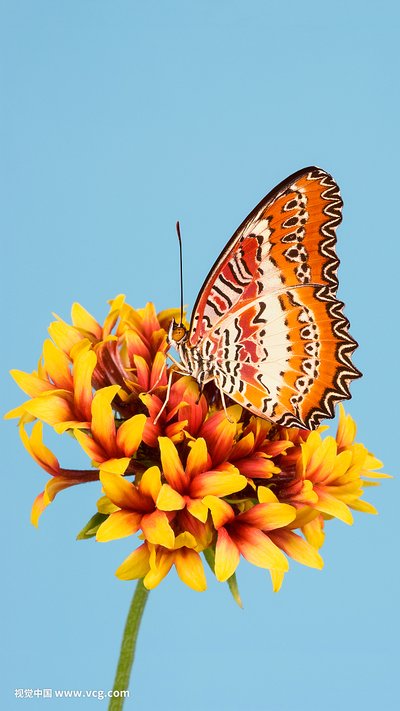 教程分享“东游麻将有挂的吗”玩家翻本必备神器-首码项目网-创业网-全球领先的创业项目网站-淘灵感首码网