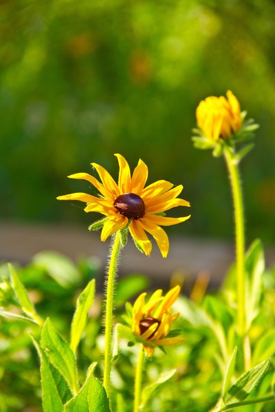 2026-04-04  小雨转晴