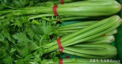 芹菜能不能提高性功能呢 芹菜与性功能的关系
