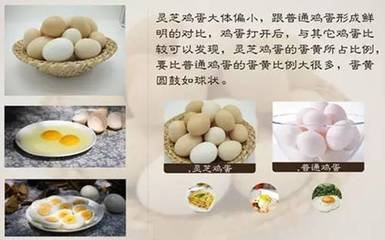 鸡蛋功效与作用 鸡蛋的禁忌
