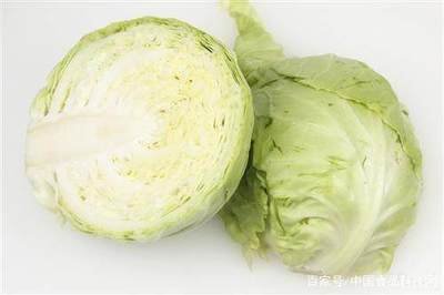 包菜的功效与作用 包菜的营养价值是什么