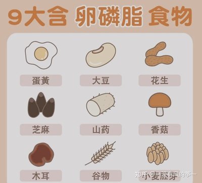 卵磷脂的功效与作用 卵磷脂的功效与作用有哪些