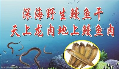 鳗鱼的作用与功效 鳗鱼的营养价值有哪些